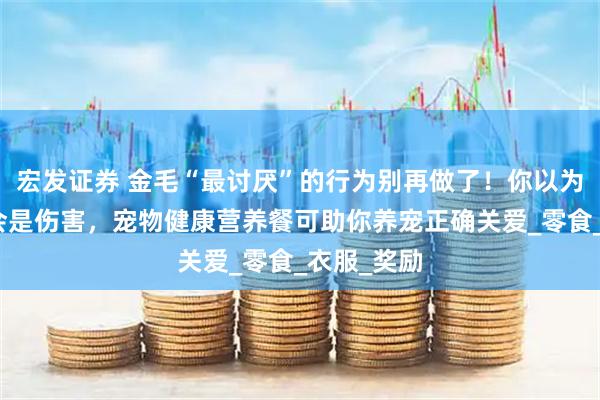 宏发证券 金毛“最讨厌”的行为别再做了!你以为的爱可能会是伤害,宠物健康营养餐可助你养宠正确关爱_零食_衣服_奖励