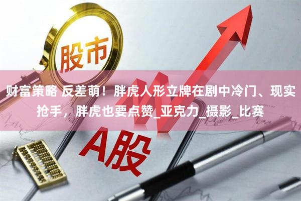 财富策略 反差萌！胖虎人形立牌在剧中冷门、现实抢手，胖虎也要点赞_亚克力_摄影_比赛