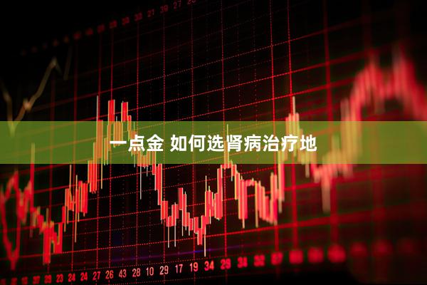 一点金 如何选肾病治疗地