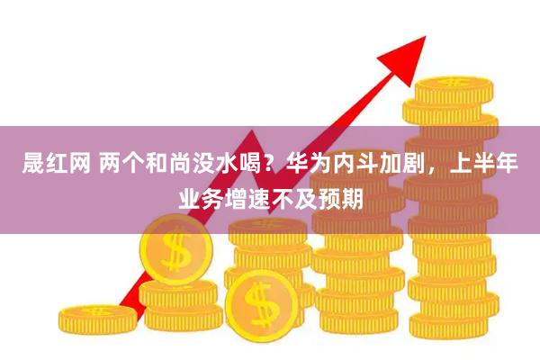 晟红网 两个和尚没水喝？华为内斗加剧，上半年业务增速不及预期