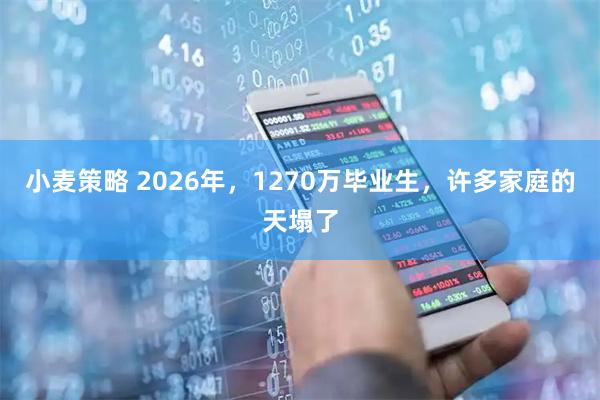 小麦策略 2026年，1270万毕业生，许多家庭的天塌了